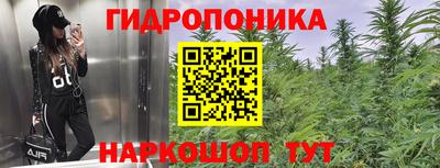 СК Бузулук