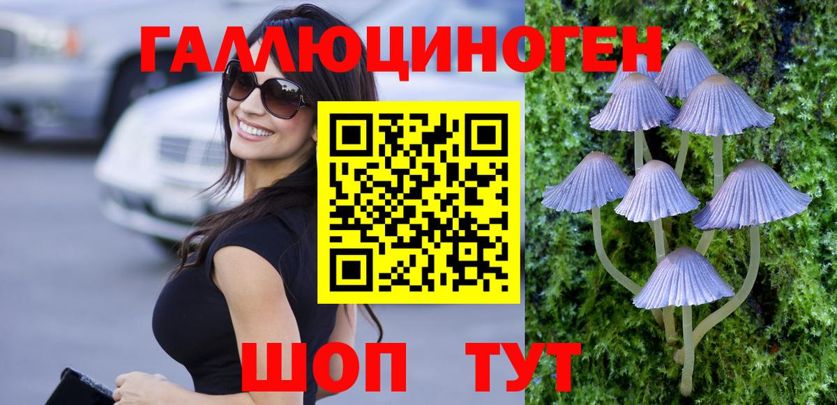 Галлюциногенные грибы мицелий  Галлюциногенные грибы GOLDEN TEACHER  Вход с VPN  Петровск 
