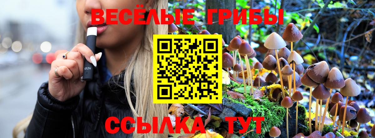 Псилоцибиновые грибы ЛСД Петровск