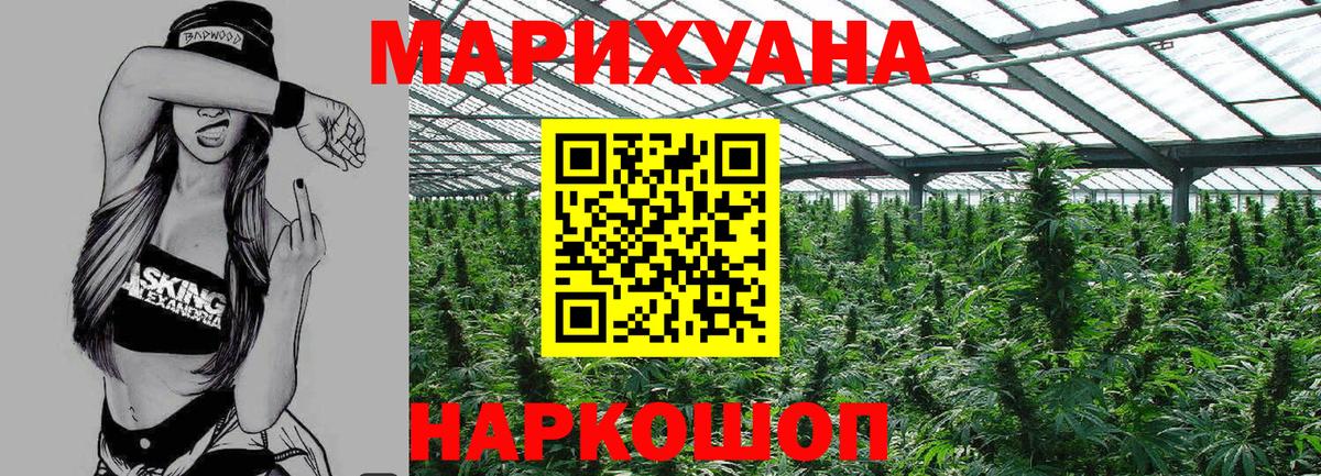 Конопля планчик Петровск